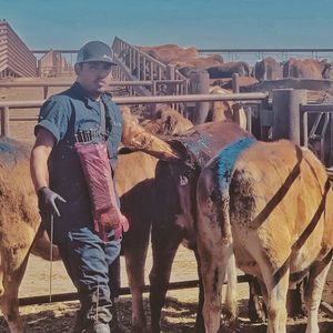 Meet your Posher, Luis